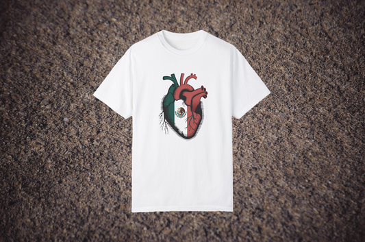 Corazón de Nación
